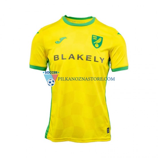 Norwich City Koszulka Męska Domowy 2024-2025 Krótkie Rękawy