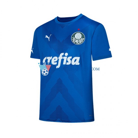 Strój Bramkarski Palmeiras Koszulka Męska Domowy 2023-2024 Krótkie Rękawy
