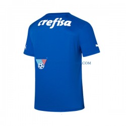 Strój Bramkarski Palmeiras Koszulka Męska Domowy 2023-2024 Krótkie Rękawy