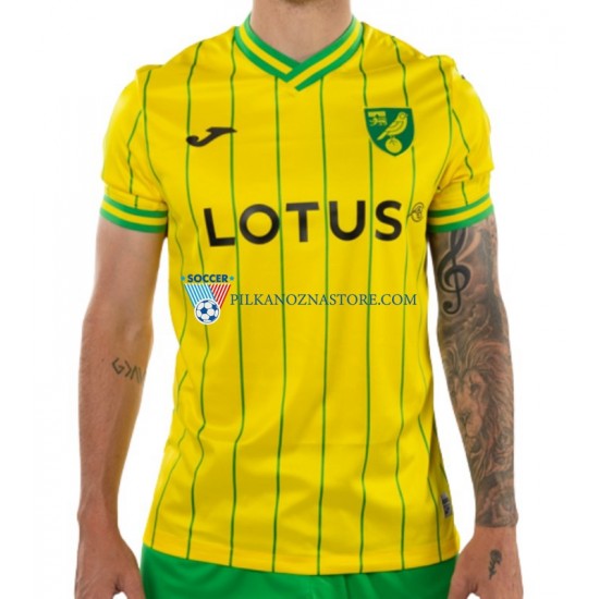 Norwich City Koszulka Męska Domowy 2022-2023 Krótkie Rękawy