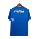 Strój Bramkarski Palmeiras Koszulka Męska Wyjazdowy 2022-2023 Krótkie Rękawy