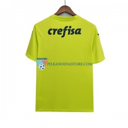 Strój Bramkarski Palmeiras Koszulka Męska Domowy 2022-2023 Krótkie Rękawy