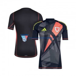 Strój Bramkarski Walia Koszulka Męska Domowy 2024 Krótkie Rękawy