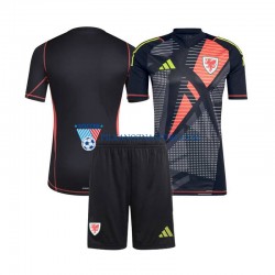 Strój Bramkarski Walia dla Dzieci Koszulka Domowy 2024 Krótkie Rękawy